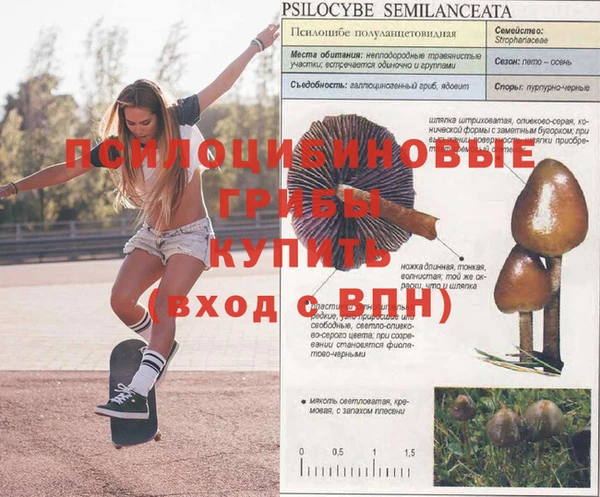 кокс Волоколамск